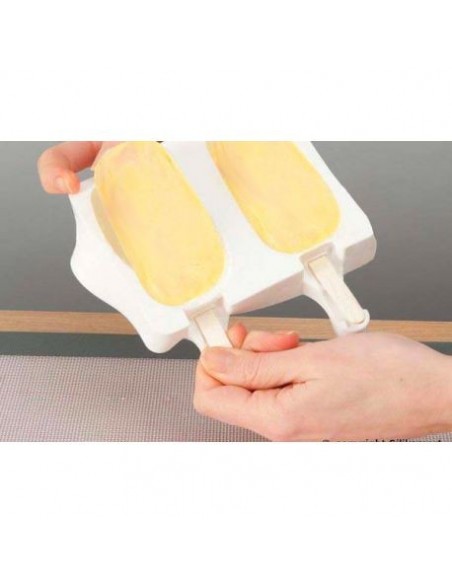Molde Silicona Para Helados Classic Silikomart