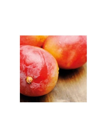 Aroma En Pasta Mango 120gr Funcakes