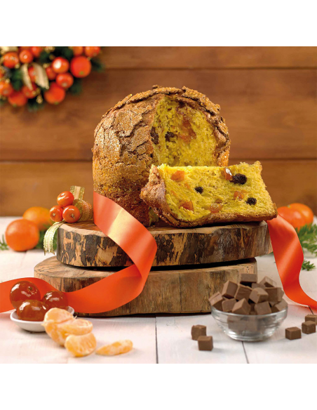 Molde para Panettone 500gr Decora 5ud
