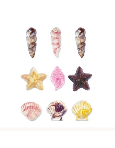 Molde Para Bombones Conchas Del Mar Wilton
