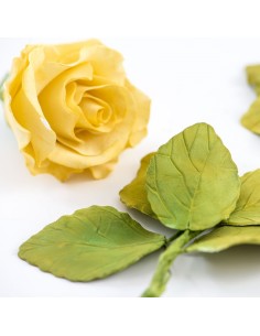 Cortante Flor Rosa 7ud Decora 2