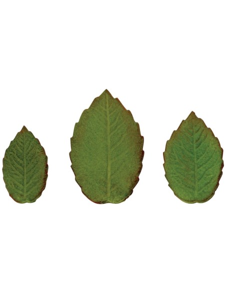 Cortantes Hojas de Rosa 3ud PME