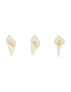 Set Decoraciones De Azúcar Callas Blancas, 24ud. Funcakes 2