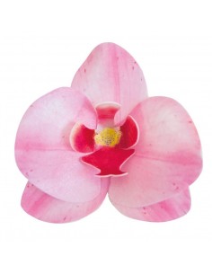 Orquideas De Oblea Color Rosa 10uds Dekora 2