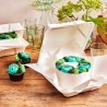 Caja Blanca Bento Cakes 20,8x22,1cm 10uds Funcakes