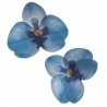 Orquideas De Oblea Color Azul 10uds Dekora