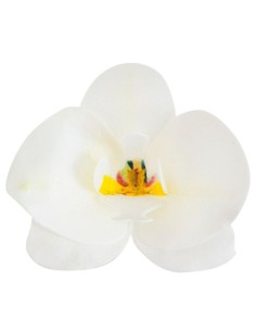 Orquideas De Oblea Color Blanco 10uds Dekora 2