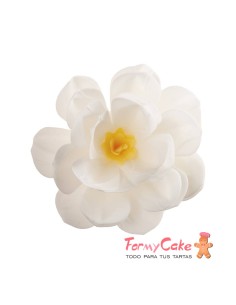 Flor De Oblea Blanca 12cm Dekora