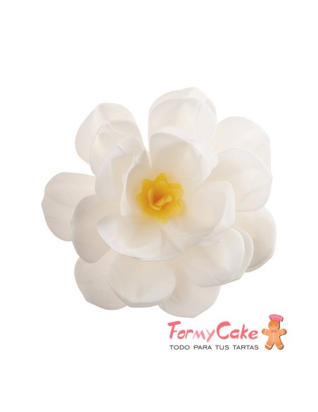 Flor De Oblea Blanca 12cm Dekora