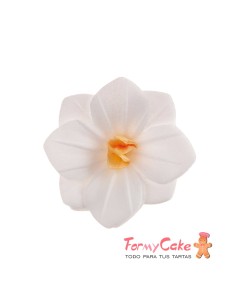 Flores De Oblea Blancas 18uds Dekora