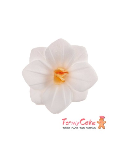 Flores De Oblea Blancas 18uds Dekora