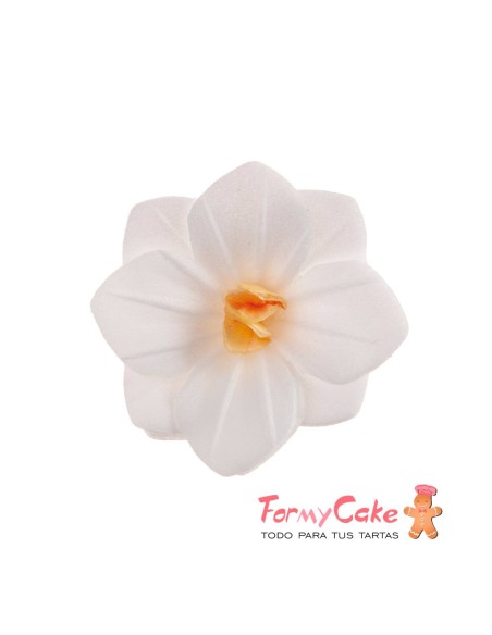 Flores De Oblea Blancas 18uds Dekora