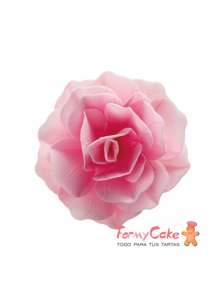 Flor De Oblea Rosa 12,5cm Dekora