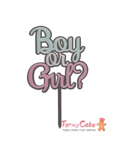Topper "Boy Or Girl" Azul y Rosa Dekora